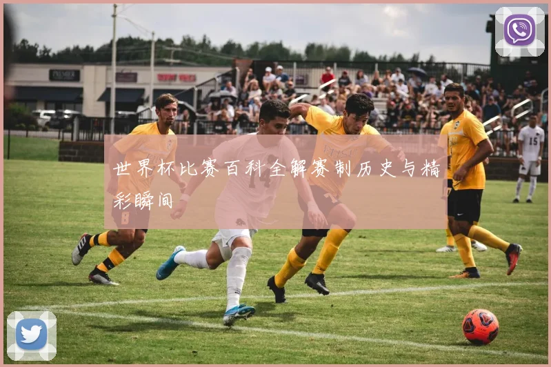 世界杯比赛百科全解赛制历史与精彩瞬间
